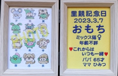 サンプル画像