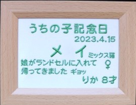 サンプル画像