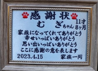 サンプル画像