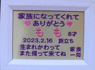 サンプル画像